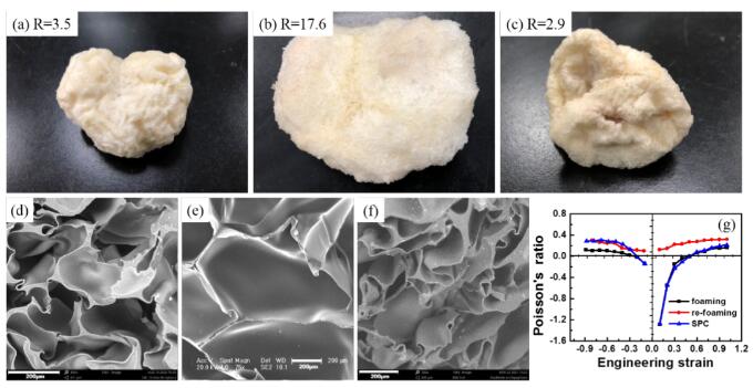 CO2發(fā)泡反應(yīng)釜與發(fā)泡反應(yīng)裝置(圖2)